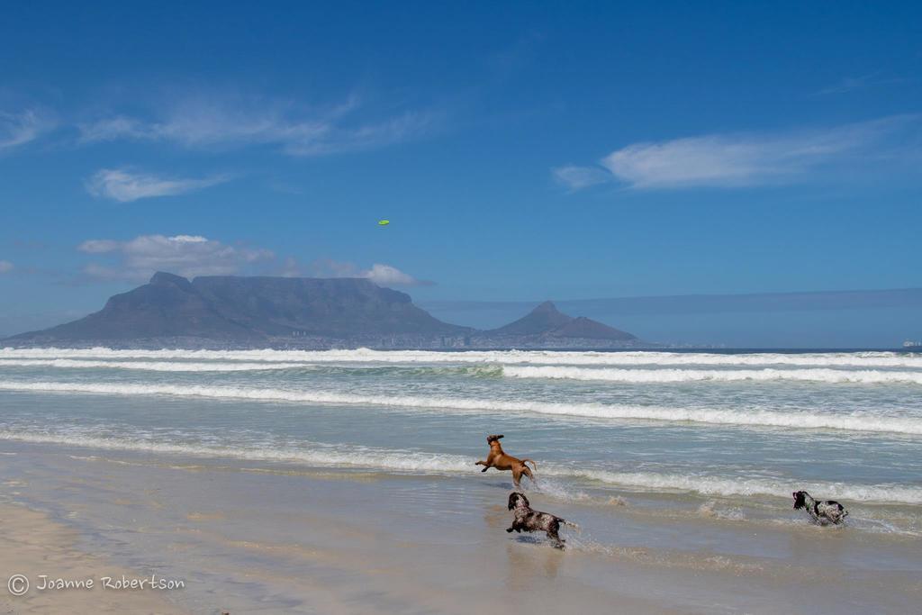 Atlantic Breeze Hotel Cape Town Luaran gambar