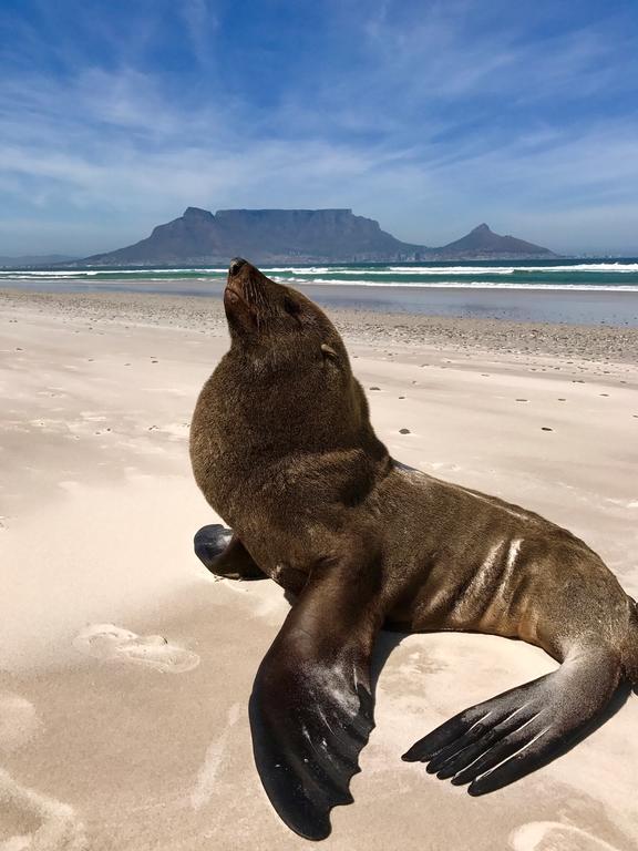 Atlantic Breeze Hotel Cape Town Luaran gambar